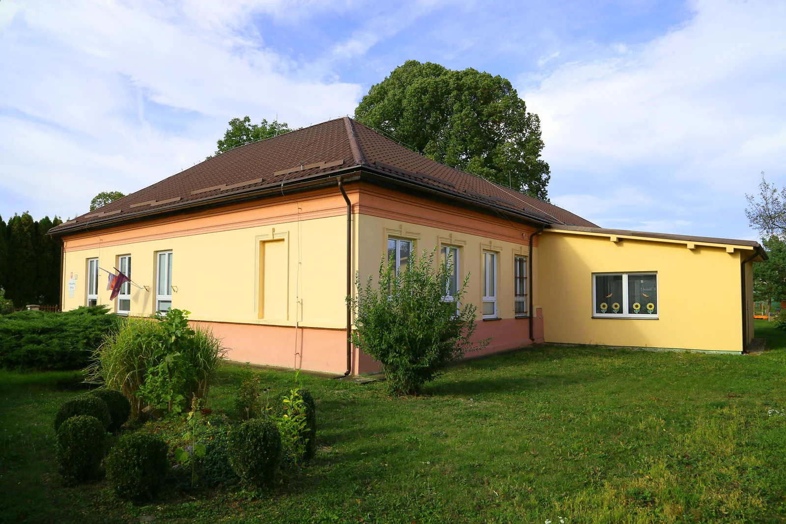 Škola